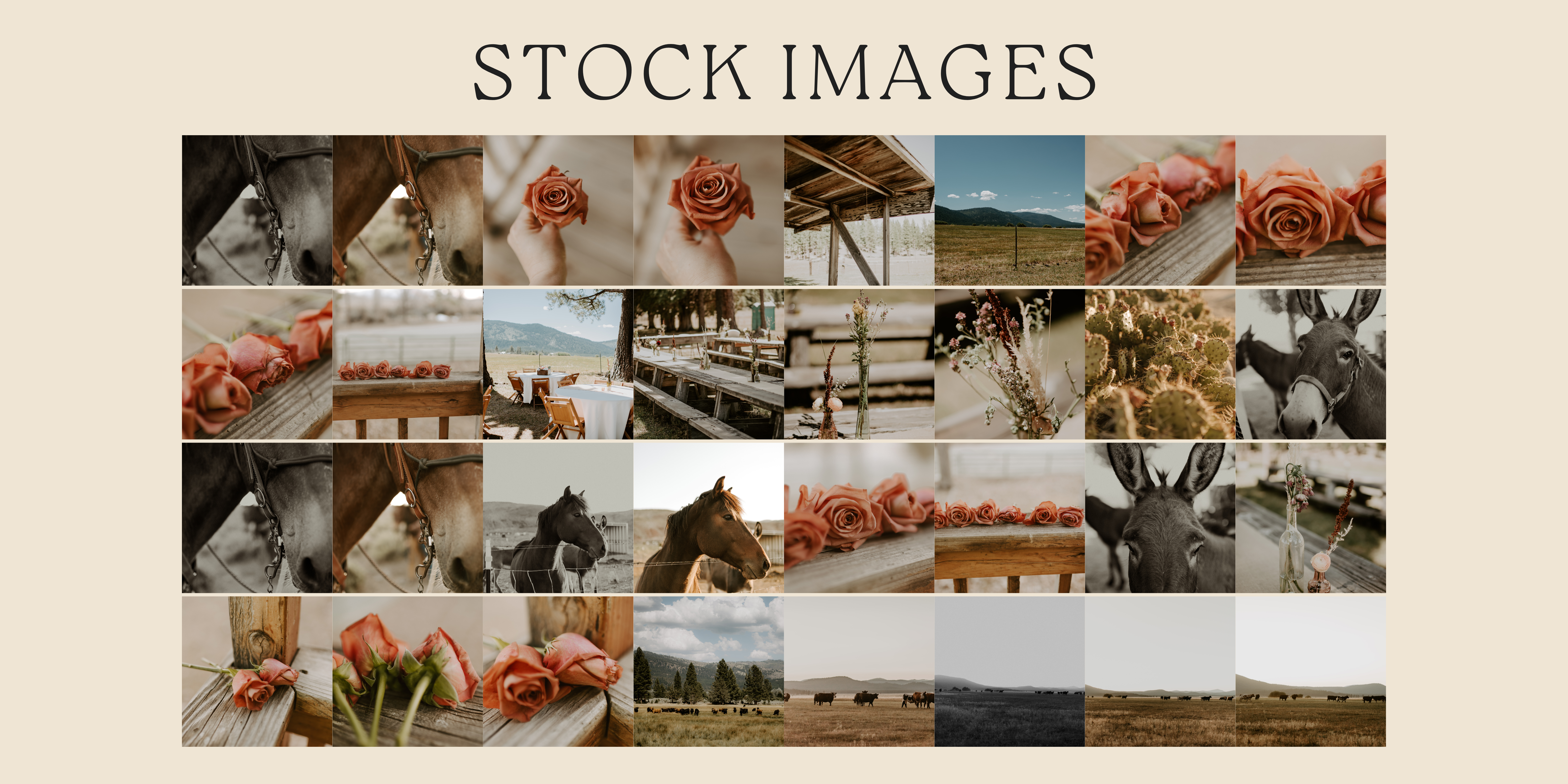 Social Herd March stock images 